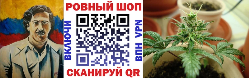 Названия наркотиков Тарко-Сале МАРИХУАНА  Псилоцибиновые грибы  Метамфетамин  COCAIN  ГАШИШ 