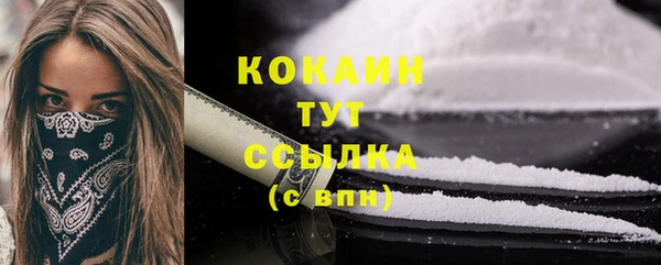 PSILOCYBIN Семикаракорск