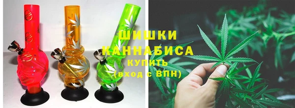 PSILOCYBIN Семилуки