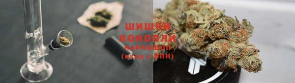 ПСИЛОЦИБИНОВЫЕ ГРИБЫ Сатка