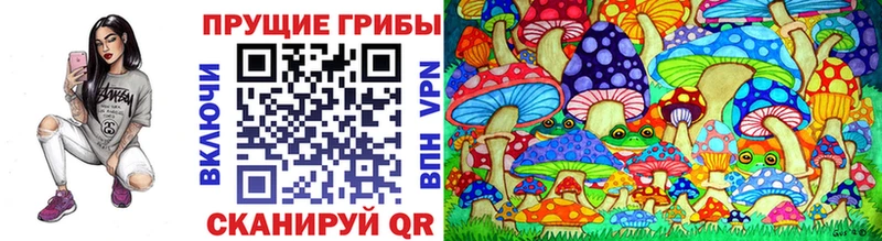 даркнет клад  Тарко-Сале  Псилоцибиновые грибы Psilocybe 